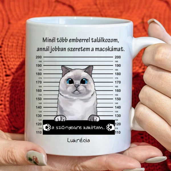 Egyedi Cicás bögre - Bűnös macska