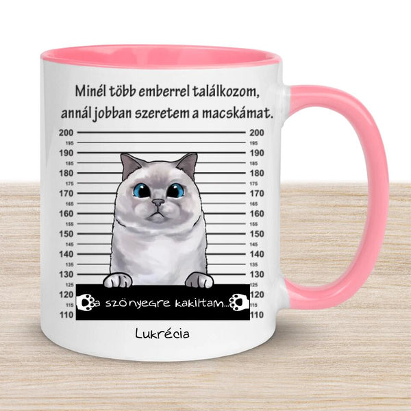 Egyedi Cicás bögre - Bűnös macska