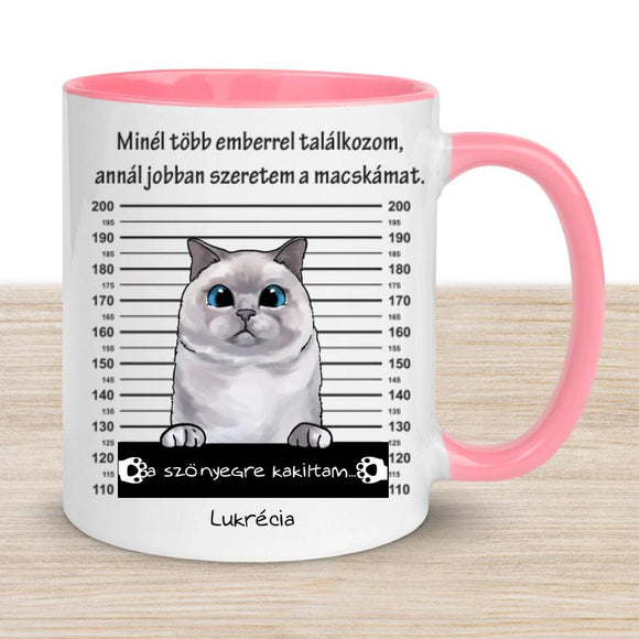 Egyedi Cicás bögre - Bűnös macska
