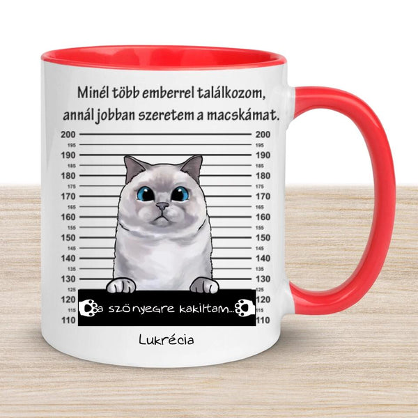 Egyedi Cicás bögre - Bűnös macska