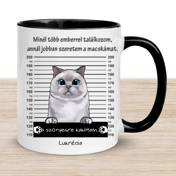 Egyedi Cicás bögre - Bűnös macska