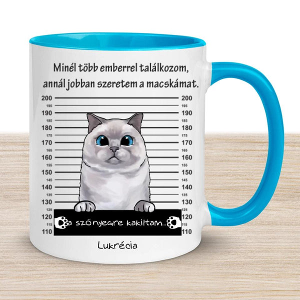 Egyedi Cicás bögre - Bűnös macska