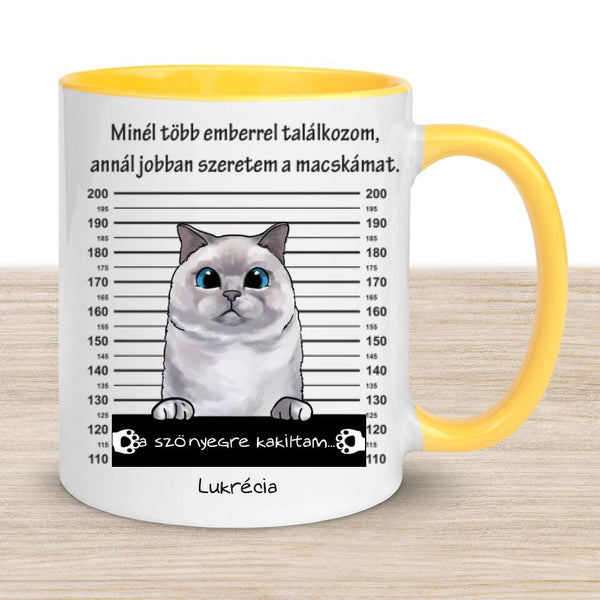 Egyedi Cicás bögre - Bűnös macska