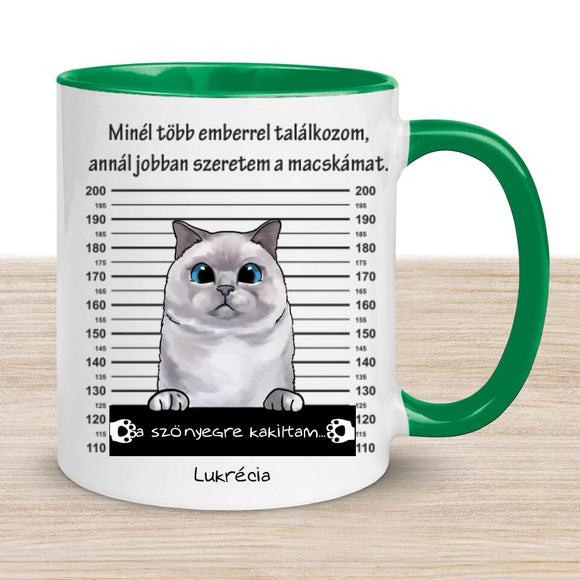 Egyedi Cicás bögre - Bűnös macska