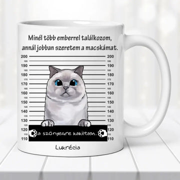 Egyedi Cicás bögre - Bűnös macska