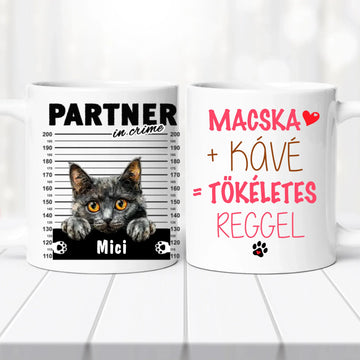 Macskás Bögre 1. sz.