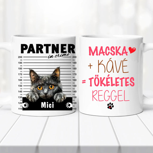 Macskás Bögre 1. sz.