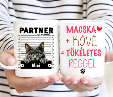 Macskás Bögre 1. sz. - 0