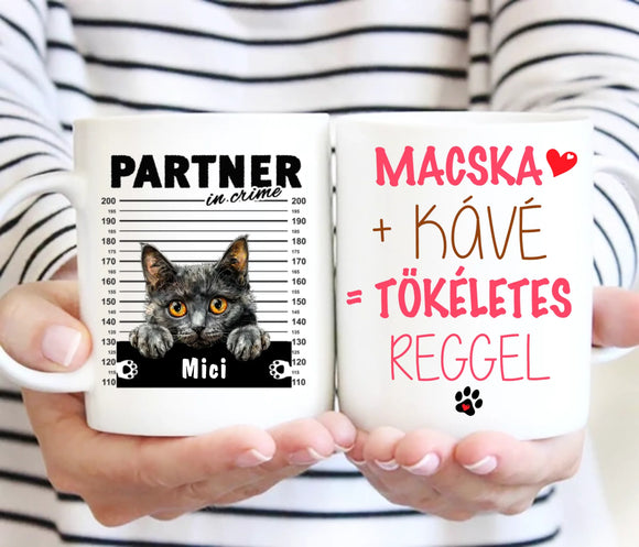 Macskás Bögre 1. sz.