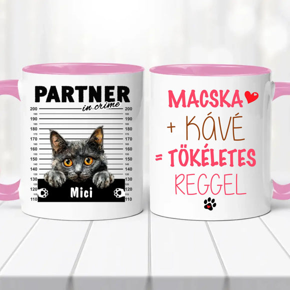 Macskás Bögre 1. sz.