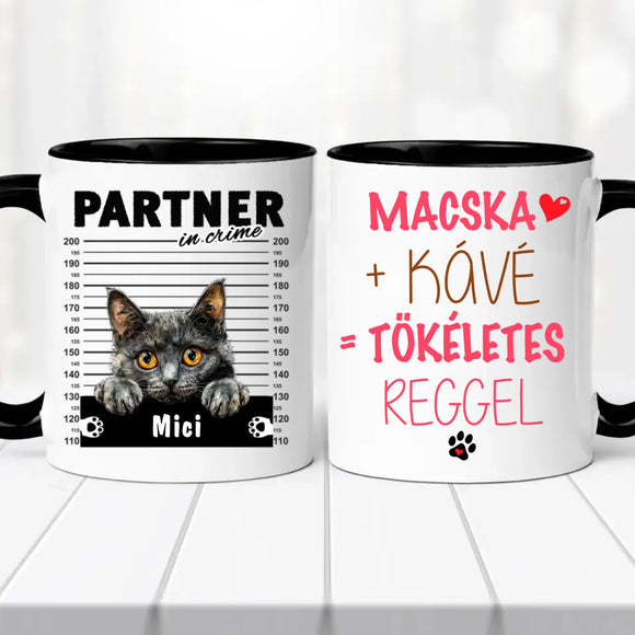 Macskás Bögre 1. sz.