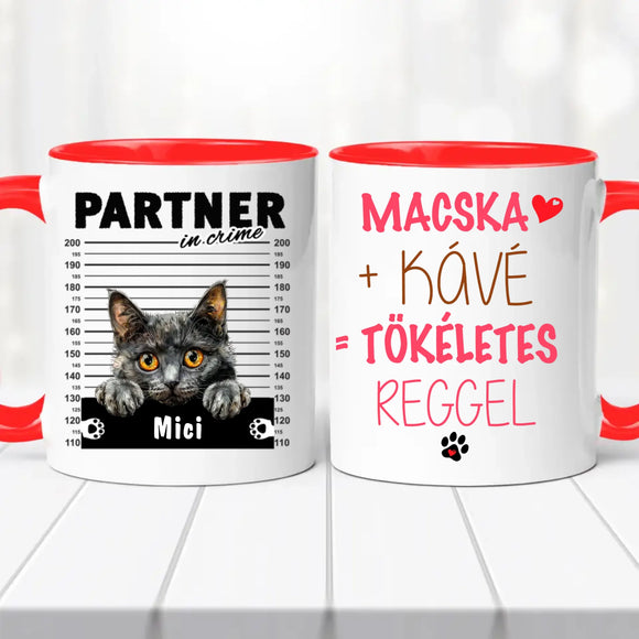 Macskás Bögre 1. sz.