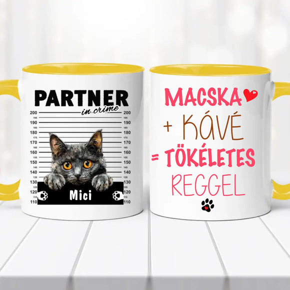 Macskás Bögre 1. sz.