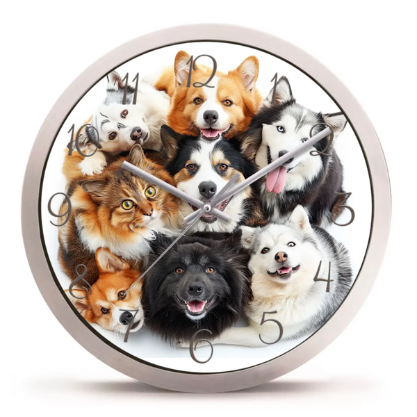 ESPERANZA_FALIORA_ZURICH