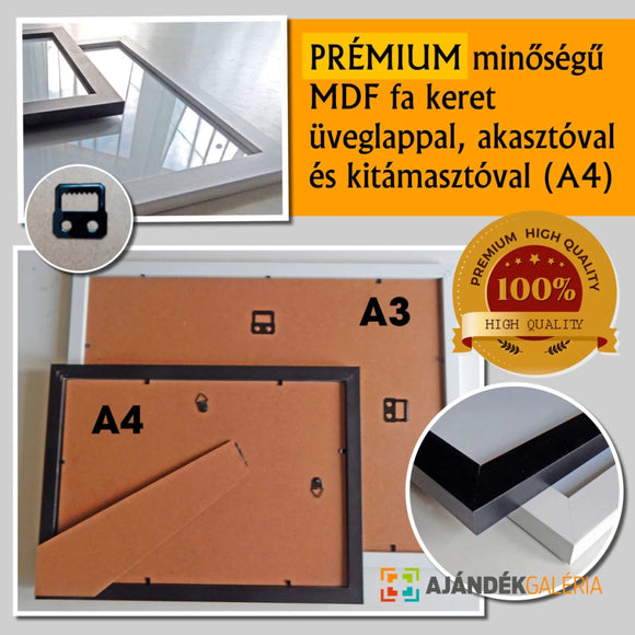 minoseg-q