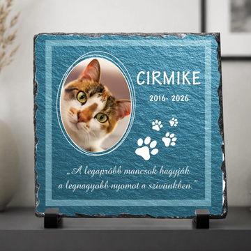 Tabla-1