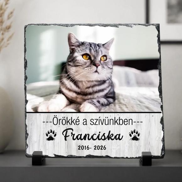 Fahatású alsó sávval díszített egyedi macska kegyeleti fotókő kitámasztó talpakon Örökké a szívünkben Franciska 2016-2026 felirattal és cirmos cica képével